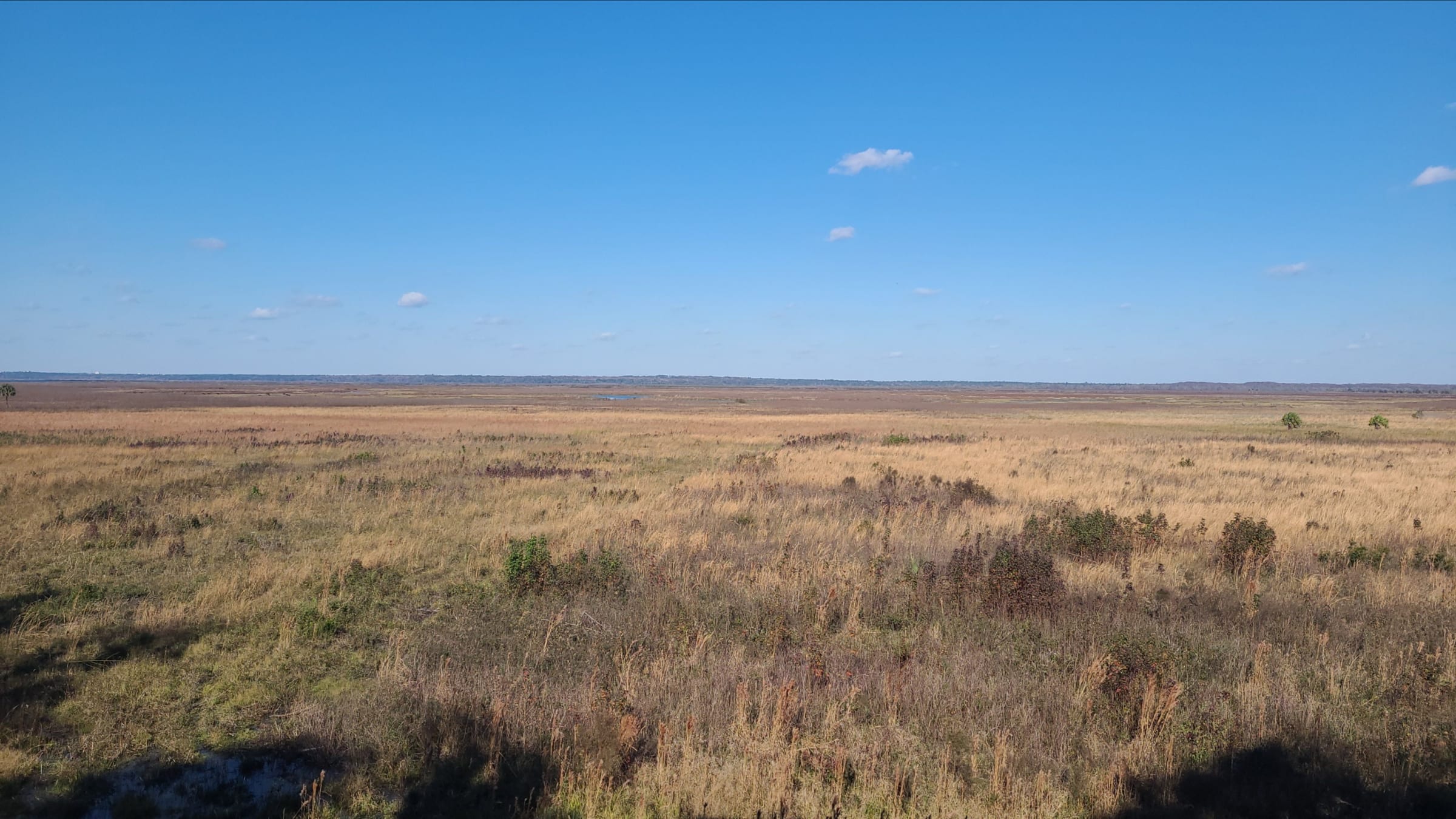 Paynes Prairie Preserve State Park, Florida